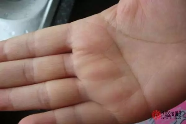 右手断掌纹的男人命运怎么样(3)