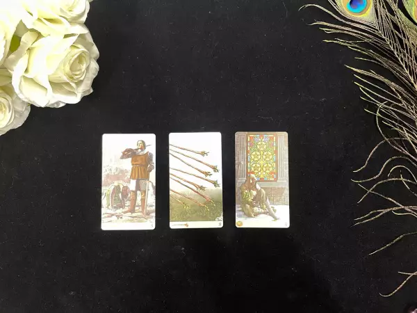 塔罗牌2021狮子座2月的感情运势怎么样呢(3)