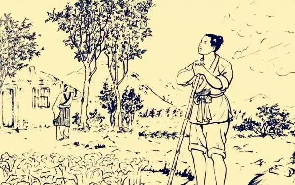 算命先生说放生3条鲤鱼什么意思啊(4)