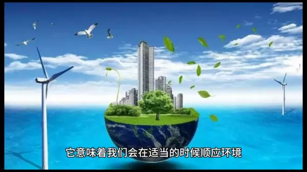听从命运的安排英语怎么说初中生作文(2)