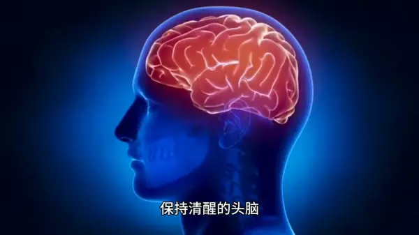 听从命运的安排英语怎么说初中生作文(4)