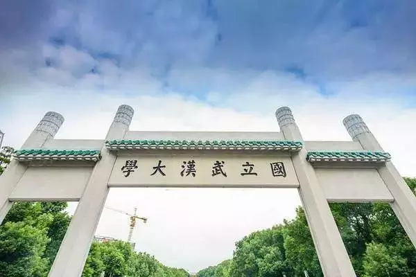 王辰昊这个名字怎么样(29)