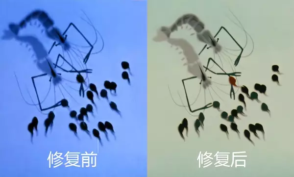 动画片猴王的两个儿子有两种命运是什么(15)