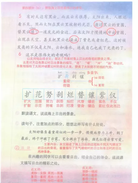 明治二十九年十一月四日的黎明是什么意思(6)
