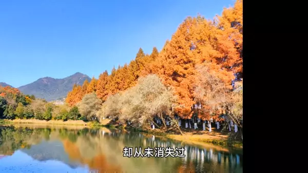 缘分让我们相遇是因为命运是什么歌的歌词(1)