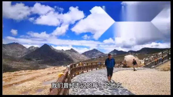 缘分让我们相遇是因为命运是什么歌的歌词(2)