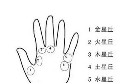 看手相女左手手指有横纹代表什么命运呢(4)
