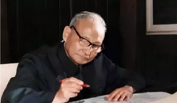 1994年阴历11月初9是阳历什么时候(1)