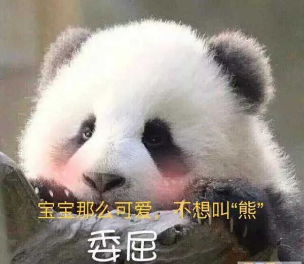 郭子豪名字的含义是什么(4)