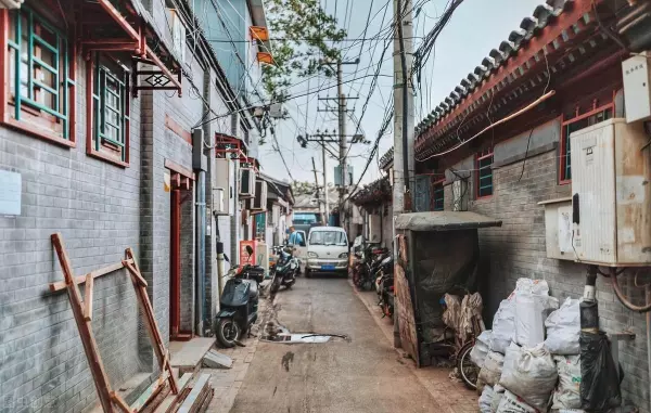 造成祥子的悲惨命运的理解两百字左右怎么写作文(6)