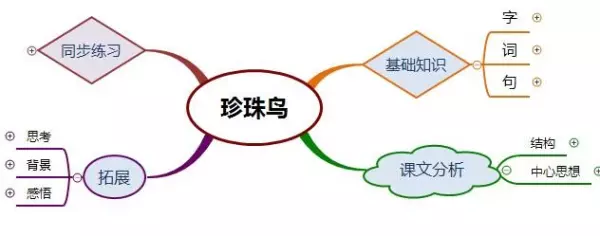 眼睑是什么意思(《珍珠鸟》)(1)