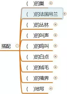 眼睑是什么意思(《珍珠鸟》)(8)