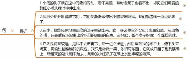 眼睑是什么意思(《珍珠鸟》)(9)