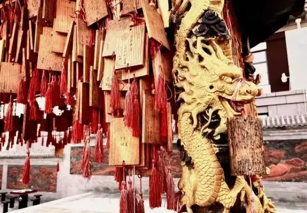属猪2024年整体运势如何样呀女孩子怎么样(7)