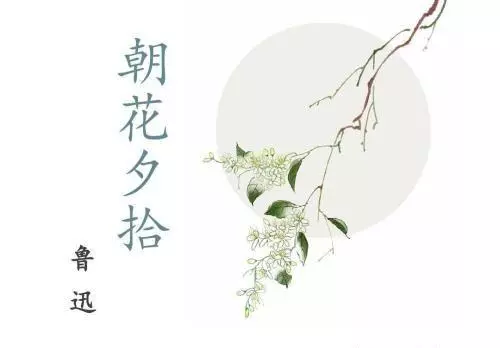 朝花夕拾中范爱农最后的命运是怎样的(1)