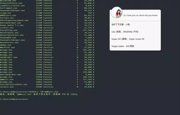 如何关闭计算机运行程序命令提示符功能(4)