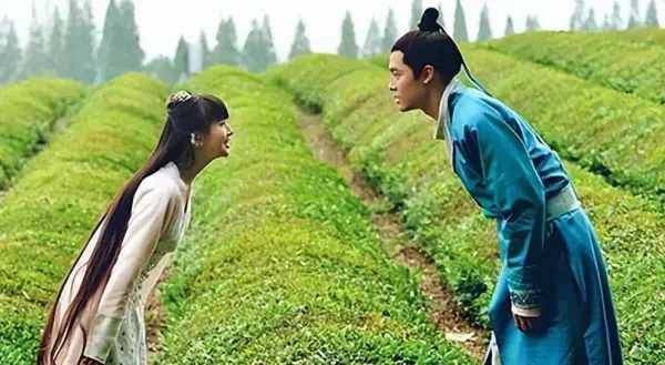 婴宁的丈夫是谁(7)