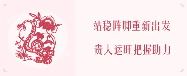 2020年生肖运势麦玲玲(11)