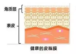 男生手上没有月牙竖条纹代表什么命运呢(3)