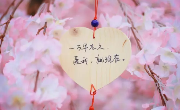 属马的狮子座5月整体运势如何样呢(14)
