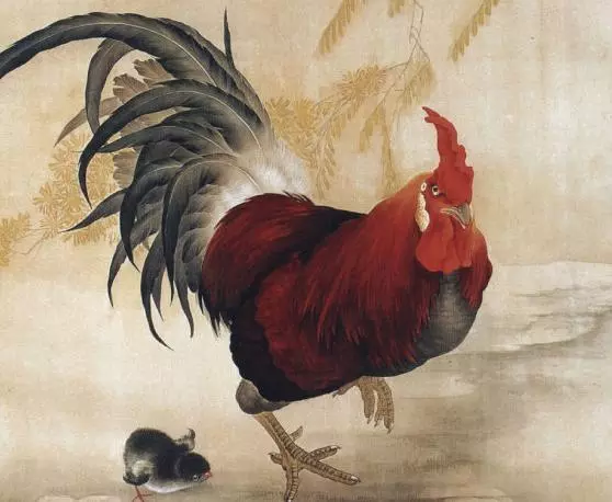 1981年属鸡女心地善良吗命运怎么样呢(1)