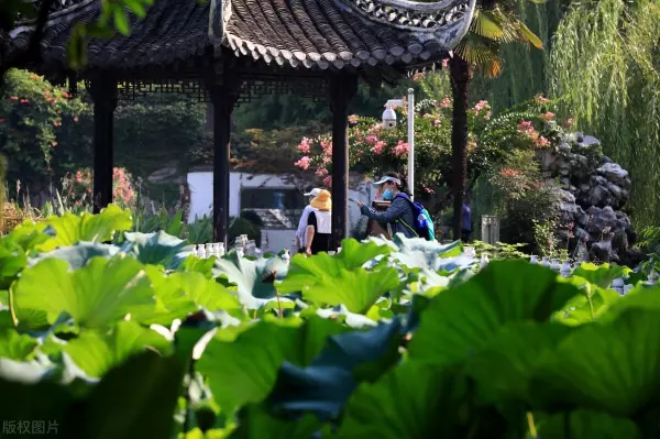 大暑节气的含义是什么意思什么品牌红曲米好(18)