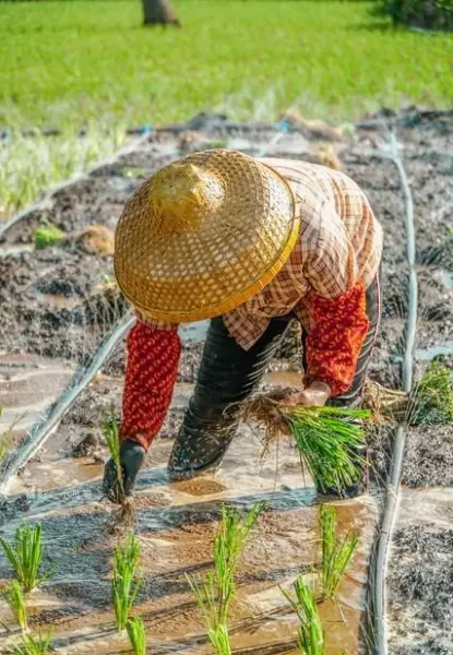 梦见算命的给我算命 女人梦见算命先生(3)