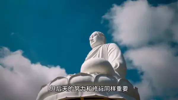 个人的命运是由个人掌握的名言英语怎么说(1)
