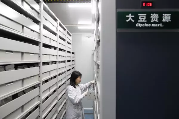 2023年9月2日是黄道吉日吗(4)