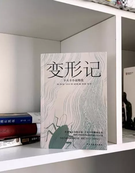 变形记社会环境对人物命运的影响有哪些(1)