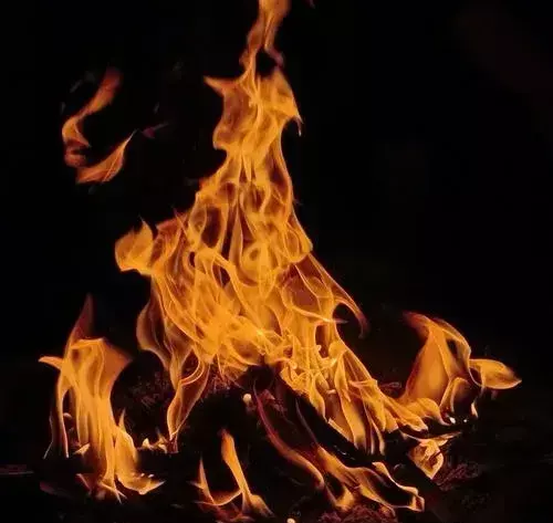 梦见一对小鸟在屋里飞是什么意思周公解梦(13)