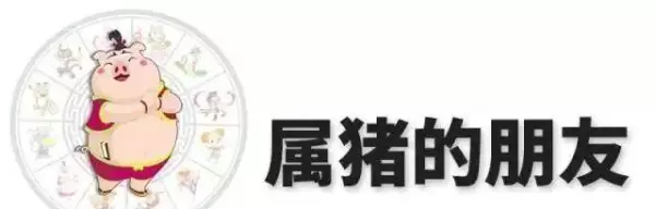 麦玲玲2019年运势最好的生肖是什么(3)