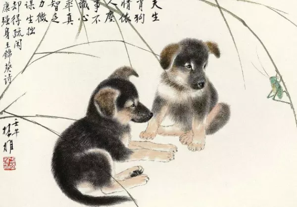 1970年属狗男未来十年运势如何样(3)