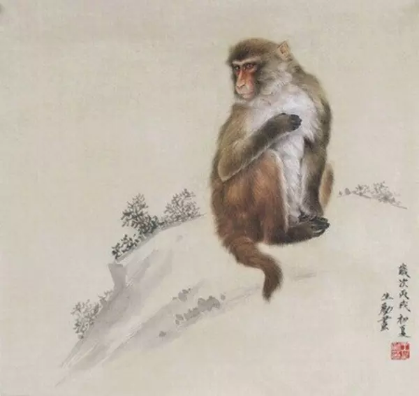 1968年3月份属猴的运势怎么样呀女生(5)