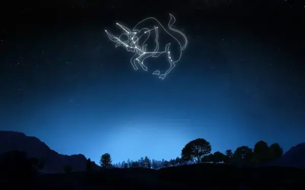12月13日是什么星座运势最好(3)