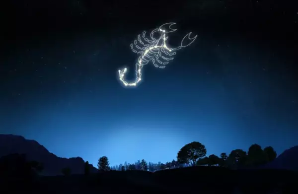 12月13日是什么星座运势最好(9)