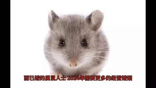 84年属鼠女2021年运势事业运气怎么样呢(3)