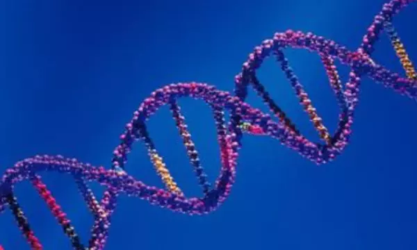 外国学者研究易经的书有哪些名字和作者(5)