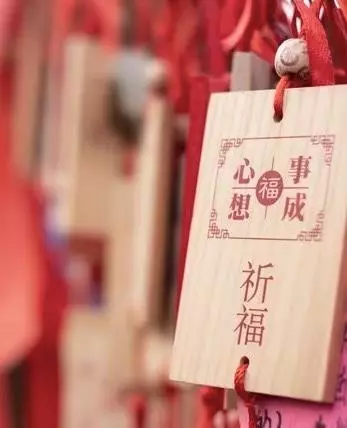 41年农历8月生的属蛇男的运势怎么样(8)