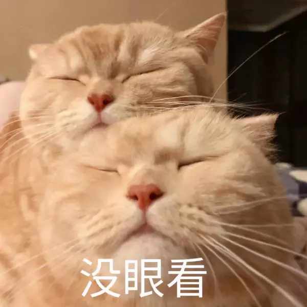 算命的说我以后娶的老婆漂亮什么意思啊(1)