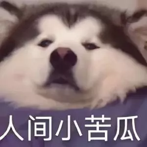 算命的说我以后娶的老婆漂亮什么意思啊(5)