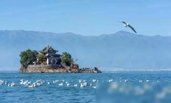 怎样会影响别人的运势和财运和财运(4)