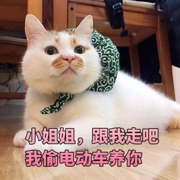 1999年8月初8日10点出生命运如何(3)