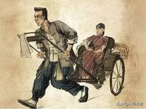 骆驼祥子命运的三起三落300字怎么写(6)