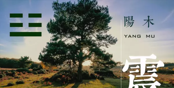 易经八卦金木水火土的对应数字是多少(4)