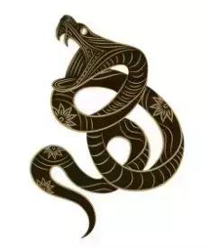 属虎个人运势2021运势详解大全(13)