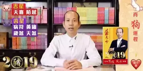 属虎个人运势2021运势详解大全(24)