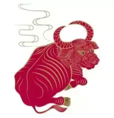 属虎个人运势2021运势详解大全(5)