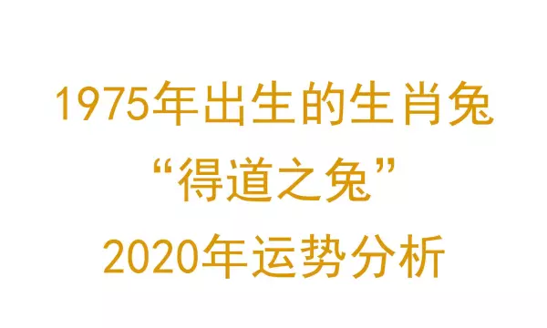 属兔的2020年运势如何1975(1)