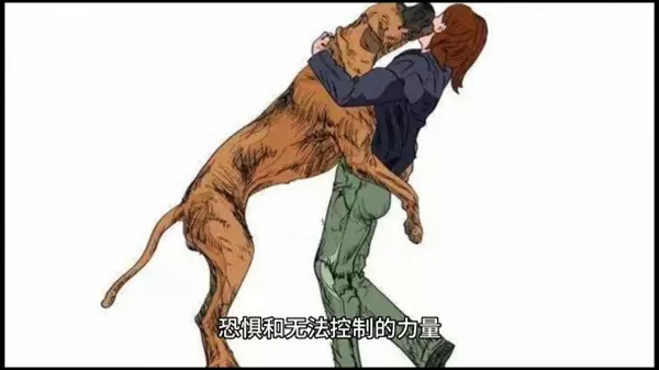 梦见一群狗咬人了是什么意思啊周公解梦女人(1)